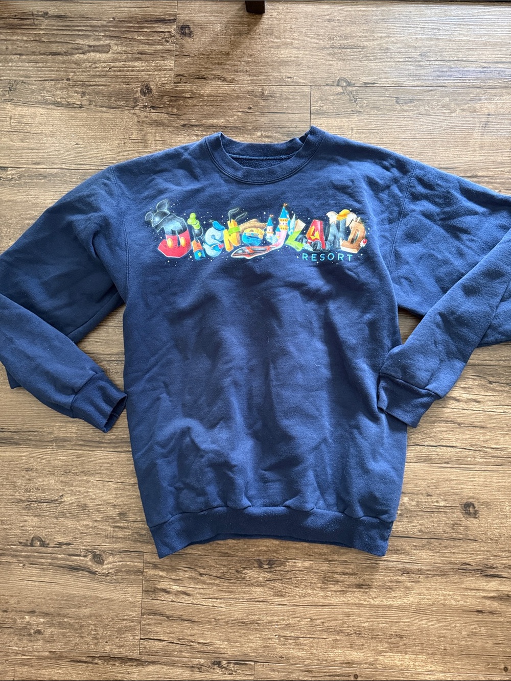 Disneyland Resort 3D logo Print Navy Pullover